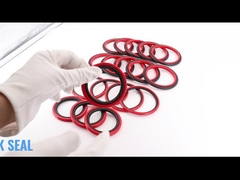 Selos da etapa do selo HBTS de SPGO Glyd